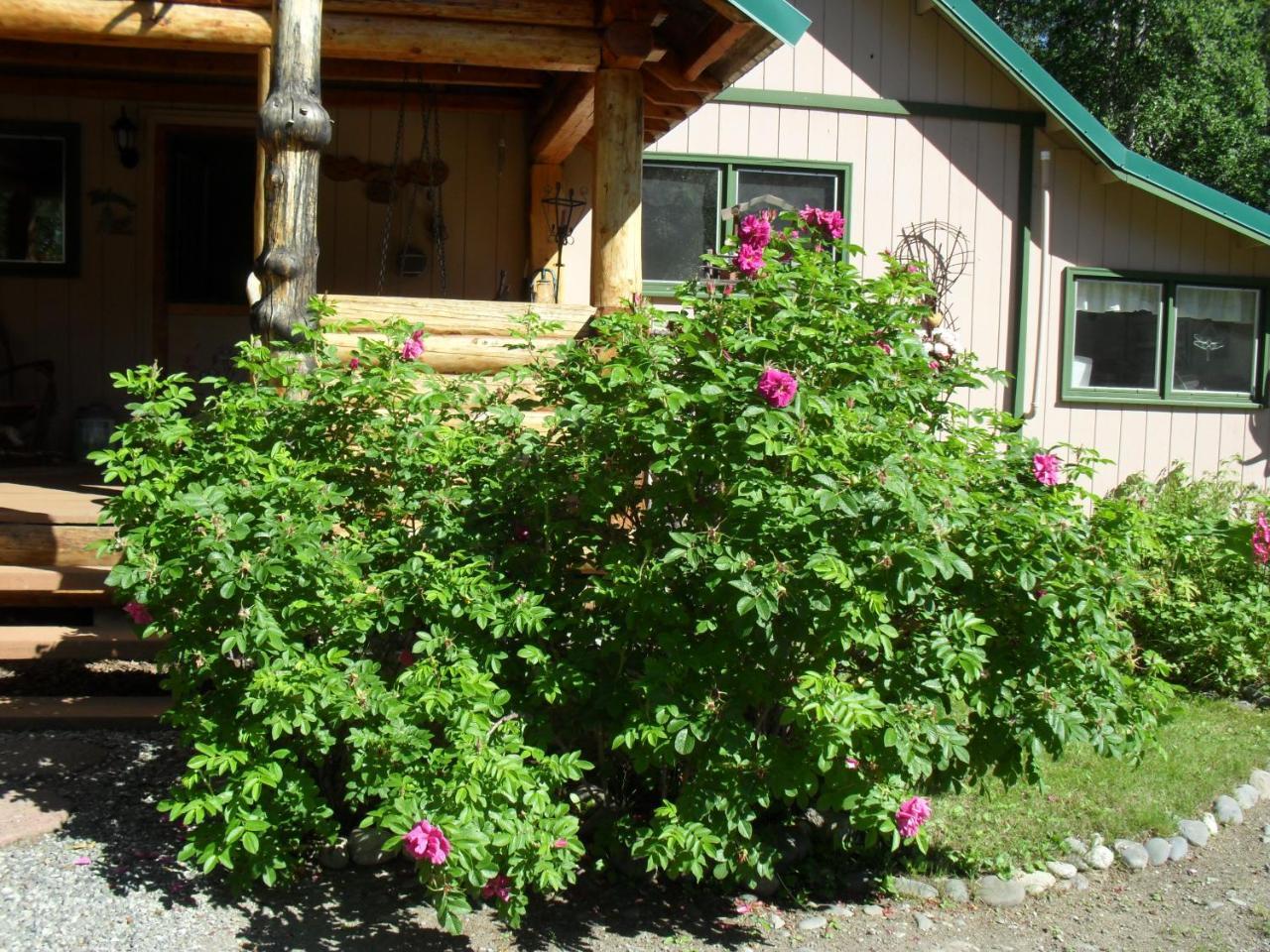 Alaska'S Northland Inn Trapper Creek Exterior foto